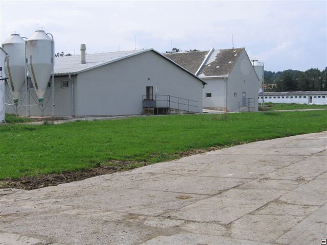 Troubelice 2006 032.jpg